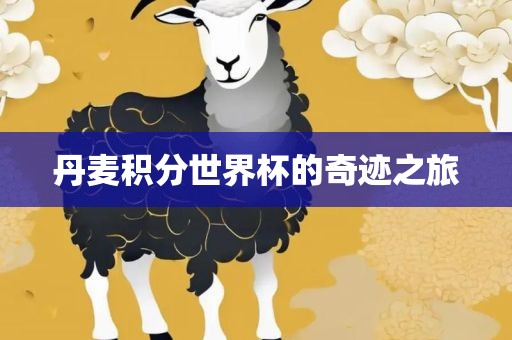 丹麦积分世界杯洪湖市顺升工程机械租赁有限公司的奇迹之旅