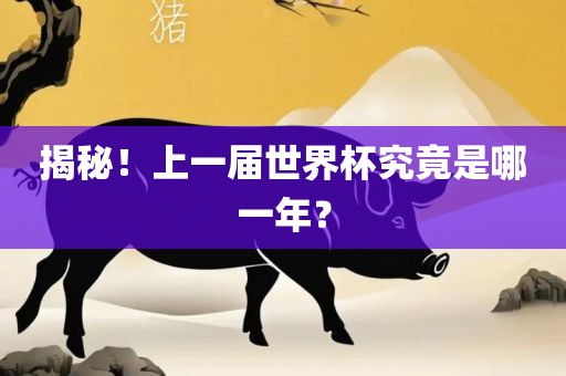 揭秘！上一届世界杯究竟是哪一年？洪湖市顺升工程机械租赁有限公司