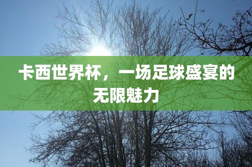 卡西世界杯，一场足球盛宴的无限魅力洪湖市顺升工程机械租赁有限公司