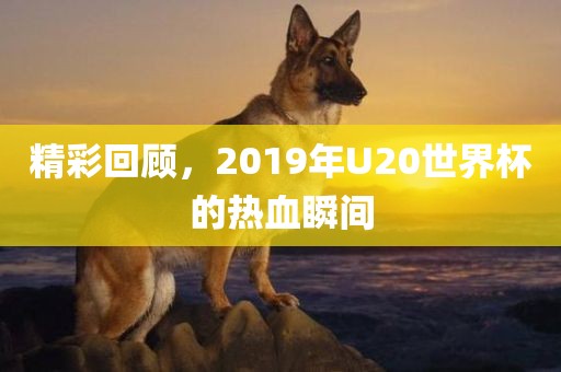 精彩回顾，2019年U20世界杯的热血瞬间