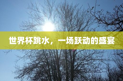 世界杯跳水，一场跃动的盛宴