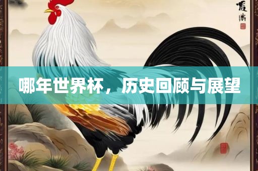 哪年世界杯，历史回顾与展望