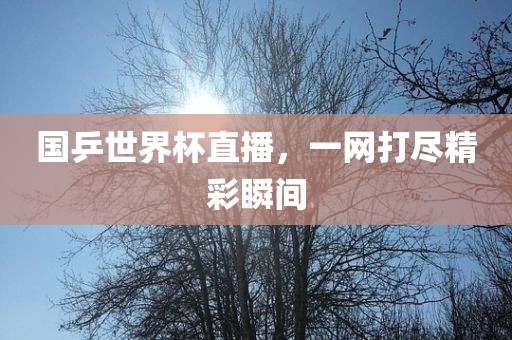 国乒世界杯直播，一网打尽精彩瞬间