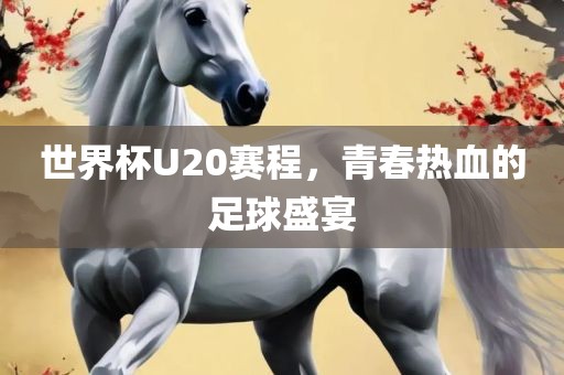 世界杯U20赛程，青春热血的足球盛宴