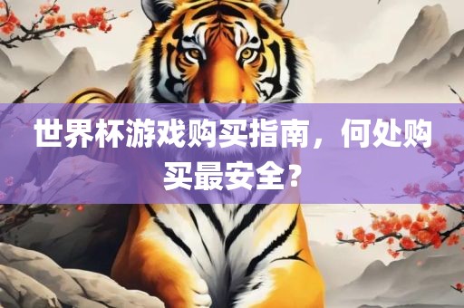 世界杯游戏购买指南，何处购买最安全？