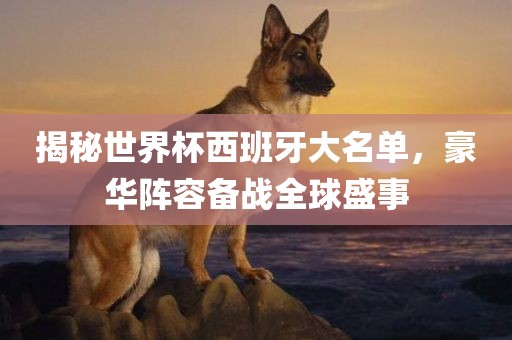 揭秘世界杯西班牙大名单，豪华阵容备战全球盛事