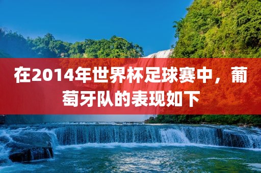 在2014洪湖市顺升工程机械租赁有限公司年世界杯足球赛中，葡萄牙队的表现如下