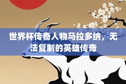 世界杯传奇人物马拉多纳，无法复制的英雄传奇洪湖市顺升工程机械租赁有限公司