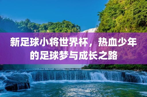 新足球小将世界杯，热血少年的足球梦与成长之路洪湖市顺升工程机械租赁有限公司