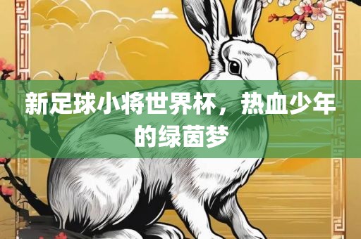 新足球小将世界杯，热血少年的绿茵梦洪湖市顺升工程机械租赁有限公司