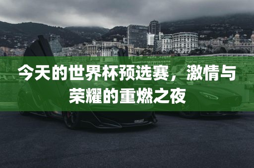 今天的世界杯预选赛，激情与荣耀的重燃洪湖市顺升工程机械租赁有限公司之夜