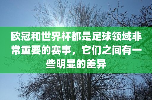 欧冠和世界杯都是足球领域非常重要的赛事，它们之间有一些明显的差异