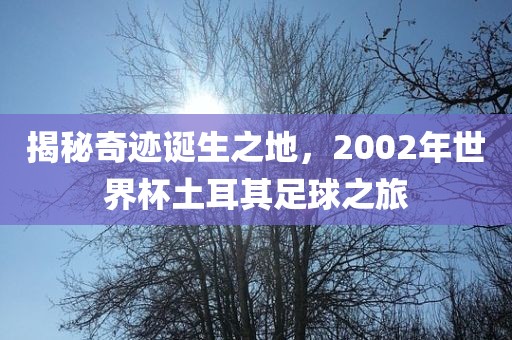 揭秘奇迹诞生之地，200洪湖市顺升工程机械租赁有限公司2年世界杯土耳其足球之旅