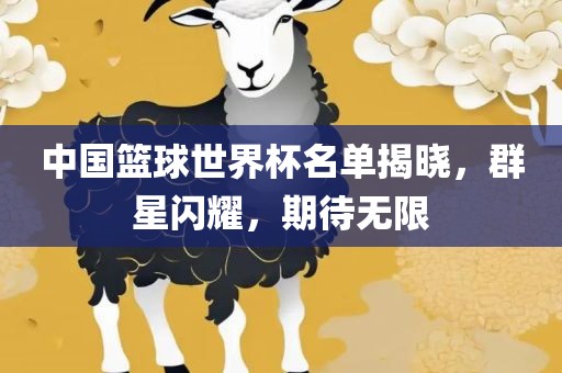 中国篮球世界杯名单揭晓，群星闪耀，期待无限