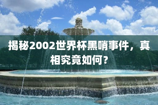 揭秘2002世界杯黑哨事件，真相究竟如何？洪湖市顺升工程机械租赁有限公司