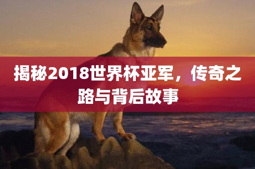 揭秘2018世界杯亚军，传奇之路与背后故事洪湖市顺升工程机械租赁有限公司