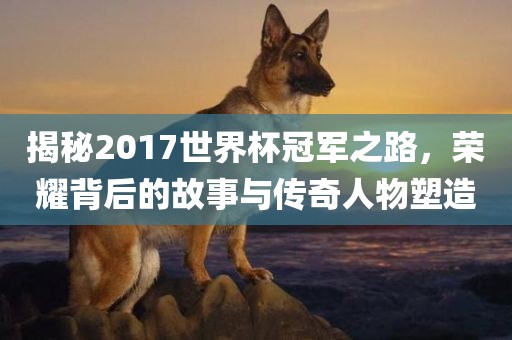 揭秘2017世界杯冠军之路，荣耀背后的故事与传奇人物塑造