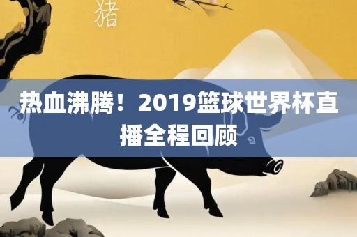 热血沸腾！2019篮球世界杯直播全程回顾