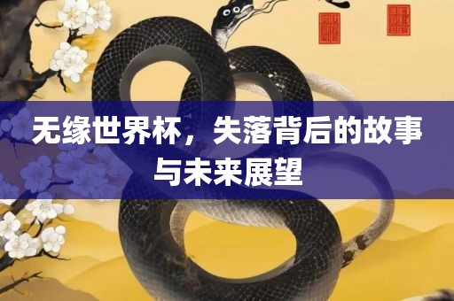 无缘世界杯，失落背后的故事与洪湖市顺升工程机械租赁有限公司未来展望