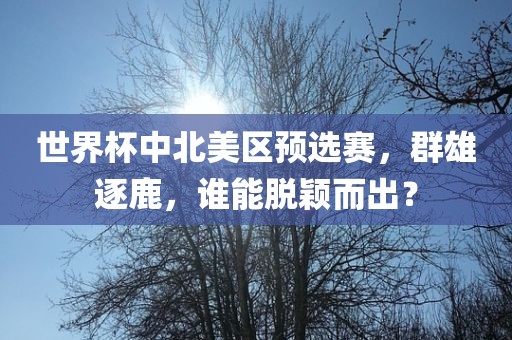 世界杯中北美区预选赛，群雄逐鹿，谁能脱颖而出？洪湖市顺升工程机械租赁有限公司