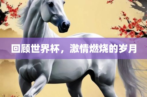 回顾世界杯，激情燃烧的岁月