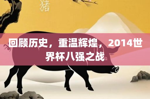 回顾历史，重温辉煌，2014世界杯八强之战