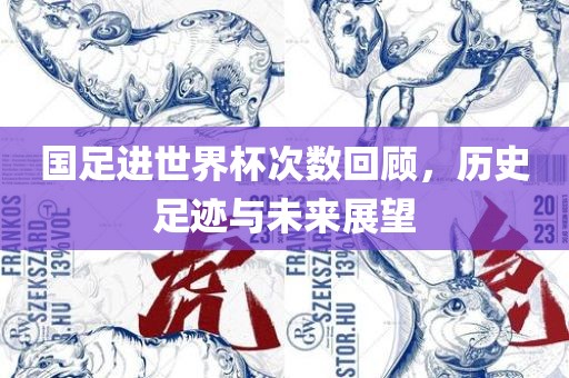国足进世界杯次数回顾，历史足迹与未来展望洪湖市顺升工程机械租赁有限公司