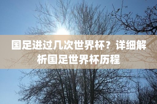 国足进过几次世界杯？详细解析国足世界杯历程