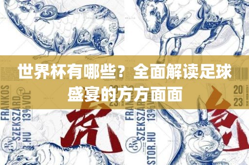 世界杯有哪些？全面解读足球盛宴的方方面面