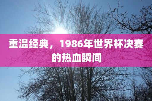 重温经典，1986年世界杯决赛的热血瞬间
