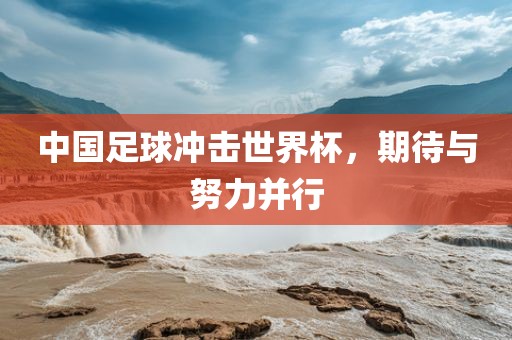 中国足球洪湖市顺升工程机械租赁有限公司冲击世界杯，期待与努力并行