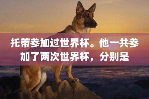 托蒂参加过世界杯。他一共参加了两次世界杯，分别是