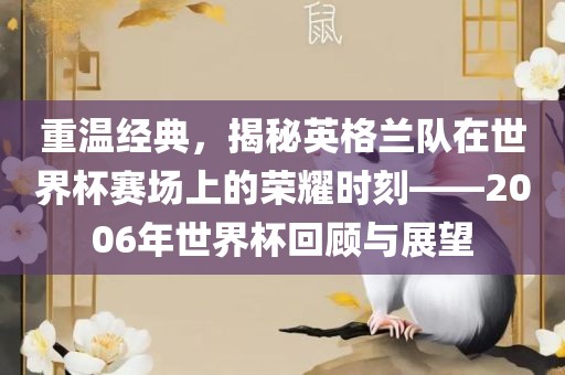 重温经典，揭秘英格兰队在世界杯赛场上的荣耀时刻——2006年世界杯回顾与展望