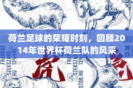 荷兰足球的荣耀时刻，回顾2014年世界杯荷兰队的风采