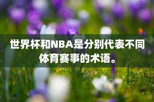 世界杯和NBA是分别代表不同洪湖市顺升工程机械租赁有限公司体育赛事的术语。
