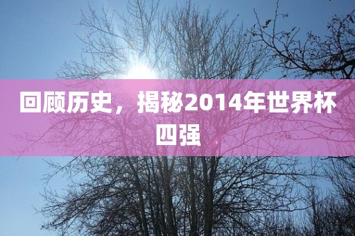 回顾历史，揭秘2014年世界杯四强