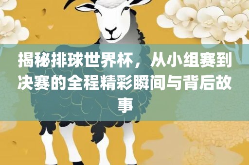 揭秘排球世界杯，从小组赛到决赛的全程精彩瞬间与背后故事