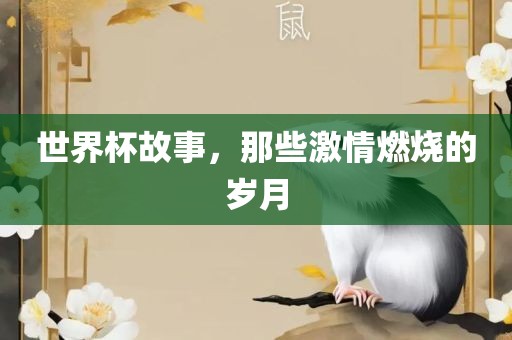 世界杯故事，那些激情燃烧的岁月洪湖市顺升工程机械租赁有限公司