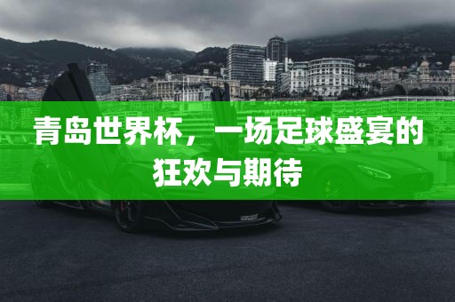 青岛世界杯，一场足球盛宴的狂欢与期待