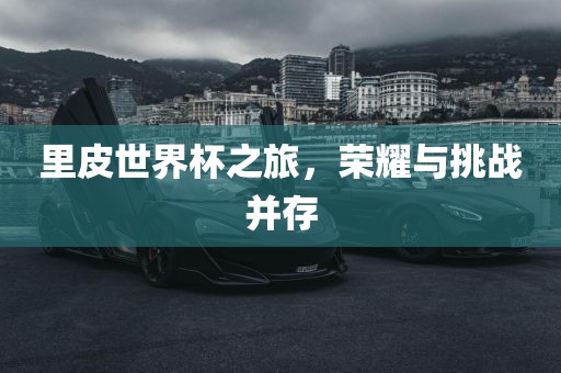 里皮世界杯之旅，荣耀与挑战并存