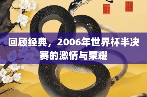 回顾经典，2006年世界杯半决赛的激情与荣耀洪湖市顺升工程机械租赁有限公司