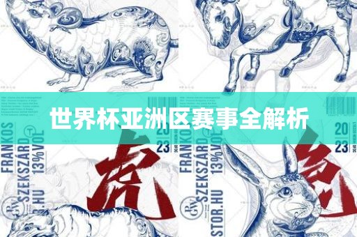 世界杯亚洲区赛事全解析