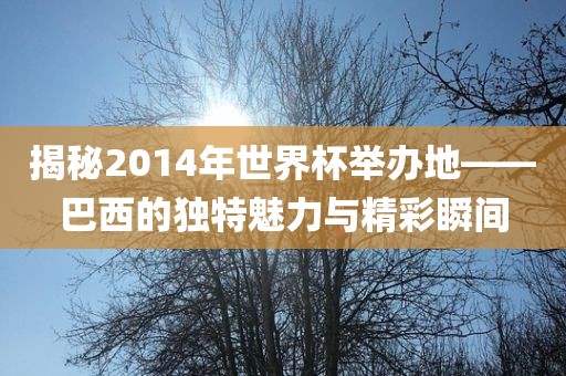 揭秘2014年世界杯举办地——巴西的独特魅力与精彩瞬间