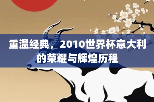 重温经典，2010世界杯意大利的荣耀与辉煌历程洪湖市顺升工程机械租赁有限公司