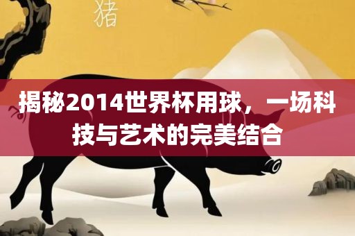 揭秘2014世界杯用球，一场科技与艺术的完美结合