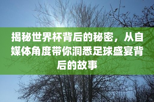 揭秘世界杯背后的秘密，从自媒体角度带你洞悉足球盛宴背后的故事洪湖市顺升工程机械租赁有限公司
