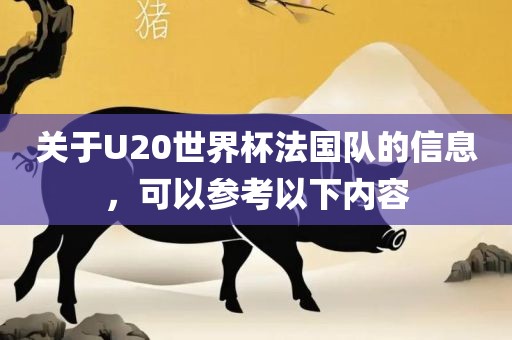 关于U20世界杯法国队的信息，可以参考以下内容洪湖市顺升工程机械租赁有限公司