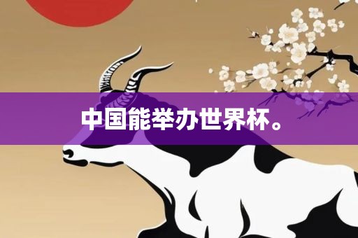中国能举办世界杯。