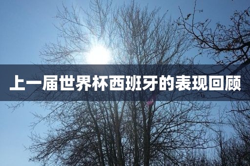 洪湖市顺升工程机械租赁有限公司上一届世界杯西班牙的表现回顾