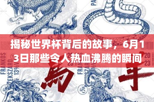 揭秘世界杯背后的故事，6月13日那些令人热血沸腾的瞬间洪湖市顺升工程机械租赁有限公司